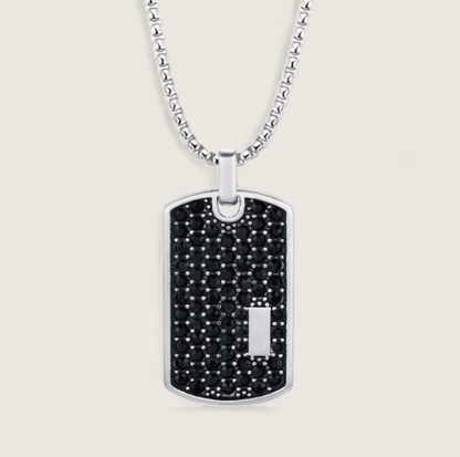 The Glacier Tag – Iced Dog Tag Necklace-Make an entrance with the Glacier Tag Necklace. Bold steel dog tag fully iced with CZ stones on a 24" box chain. Maximum brilliance and style. Shop now.